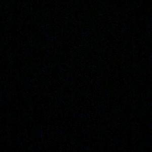 Meet your Posher, Ella